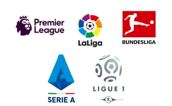 执委会还透 执委会还透